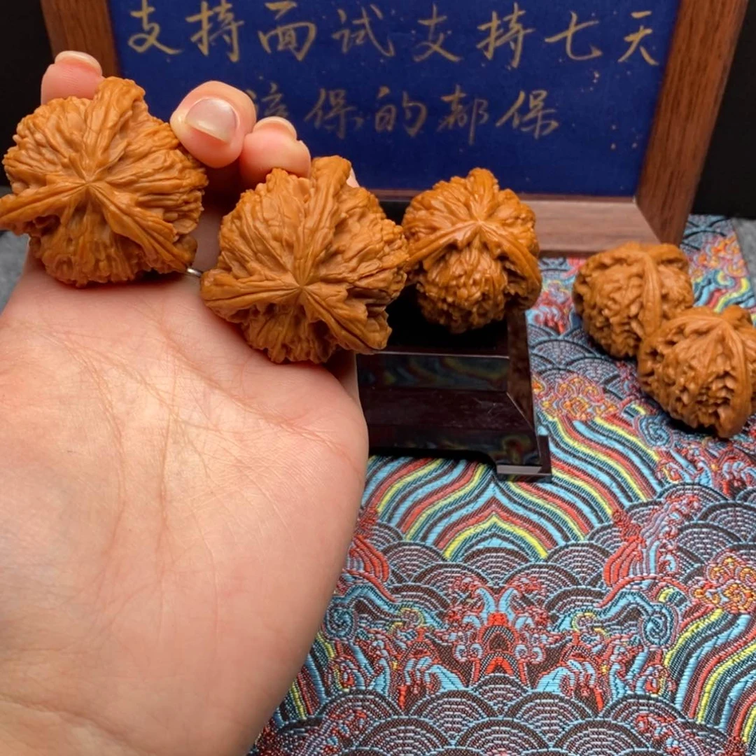 【闪购商品】幸****。白狮