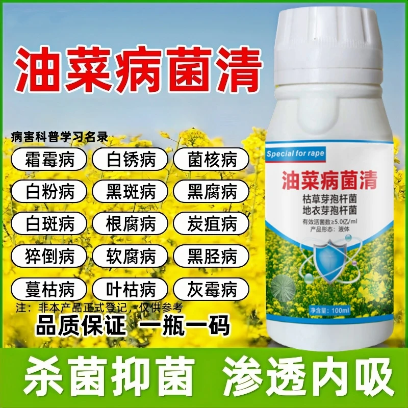 油菜病菌清油菜病防治菌核病白粉病霜霉病炭疽病猝倒病油菜叶面肥