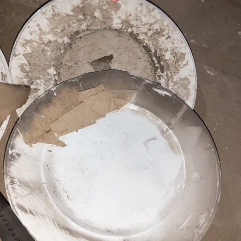 瓷片30厘米一个黑天鹅标19