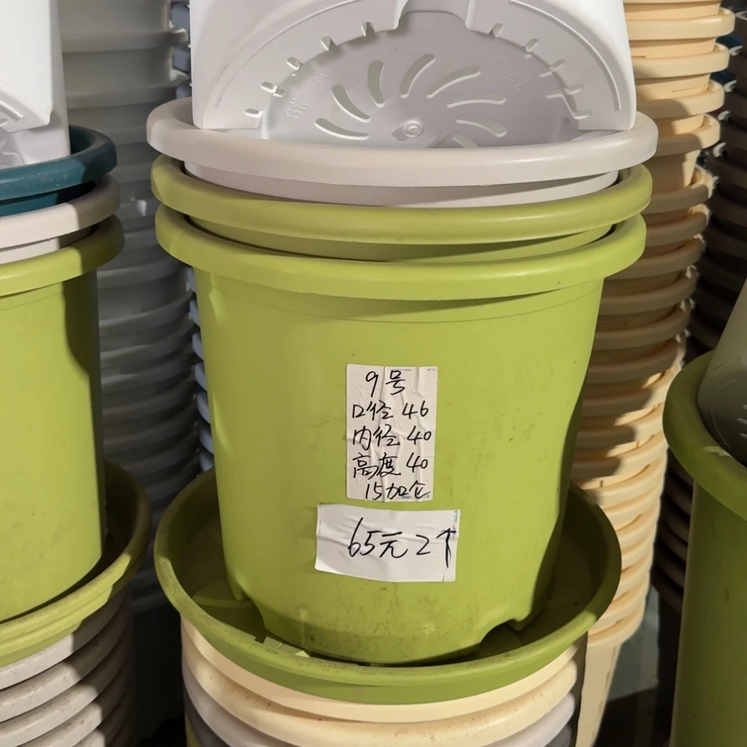 微瑕9#口径46无拖果绿2个