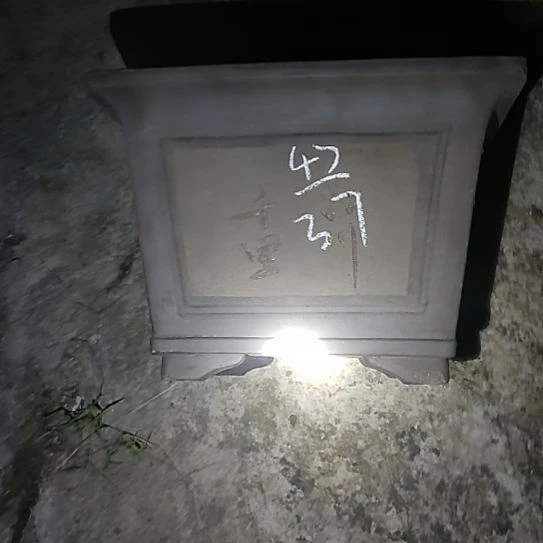 茶叶罐紫砂宜兴花盆