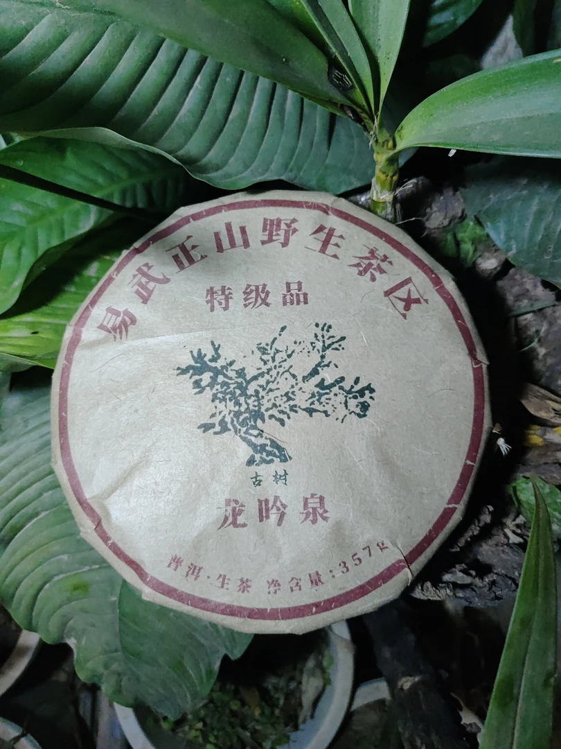 2003年易武正山野生茶区 龙吟泉普洱生茶饼357克M81号