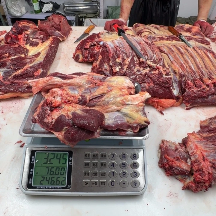 麟***巍12中国大陆马腱子