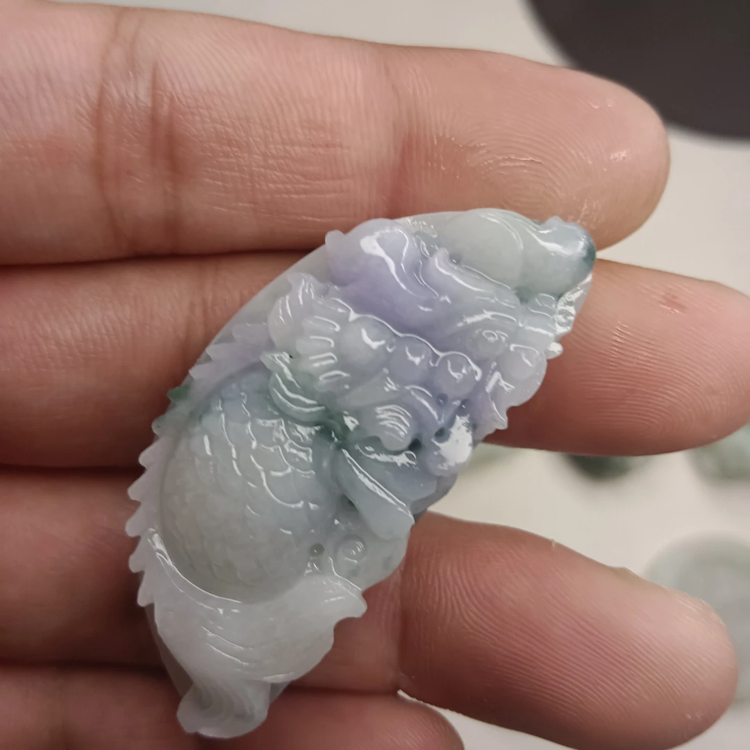 翡翠龙鱼紫带飘花