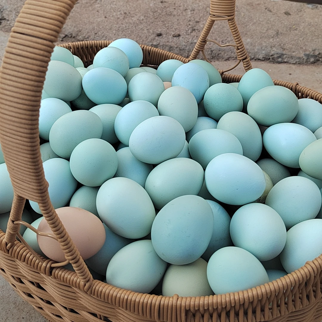 顺丰包邮熊孔农家散养纯粮食喂养绿壳正宗土鸡蛋30枚