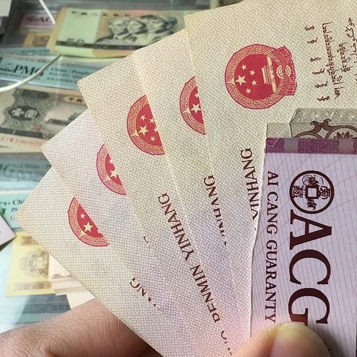 二平原票全新…………5个…………