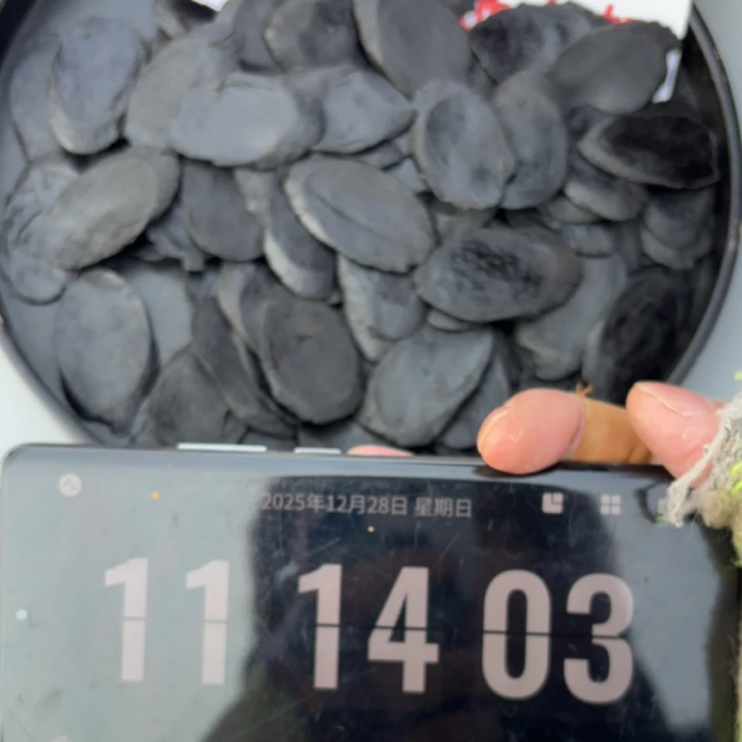 【小叶严选】长白山溯源-高麗参黑参片-整支切片 九蒸九曝 12月28