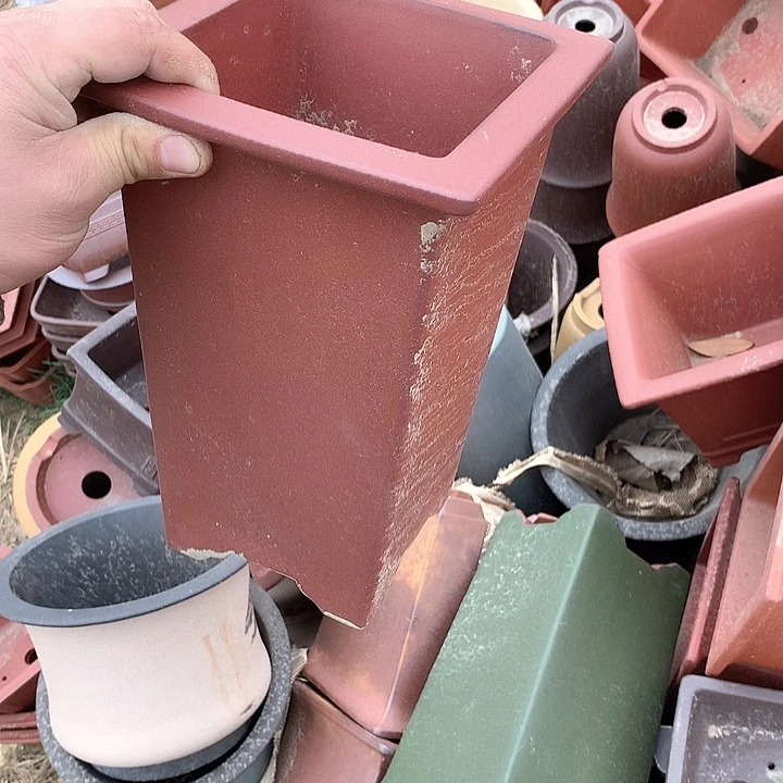 紫砂哈哈真的是太给力太