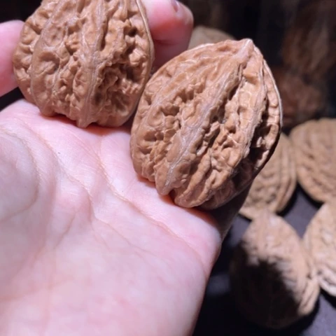 把件文玩核桃东北野生楸子小园 174