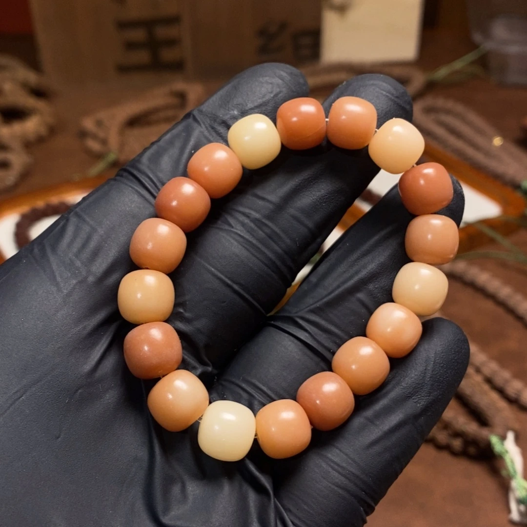 金刚菩提手串菩提根