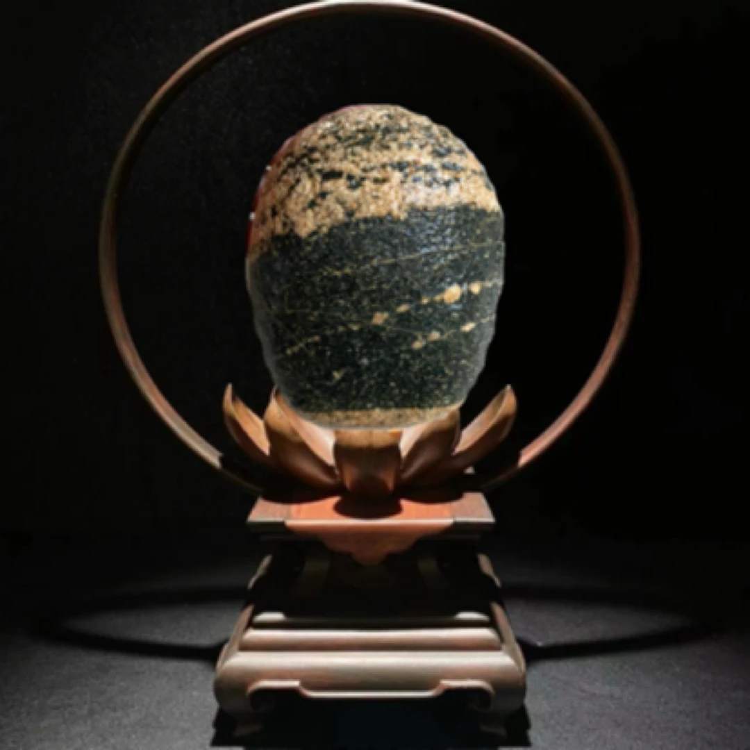 纯天然美丽家居摆件