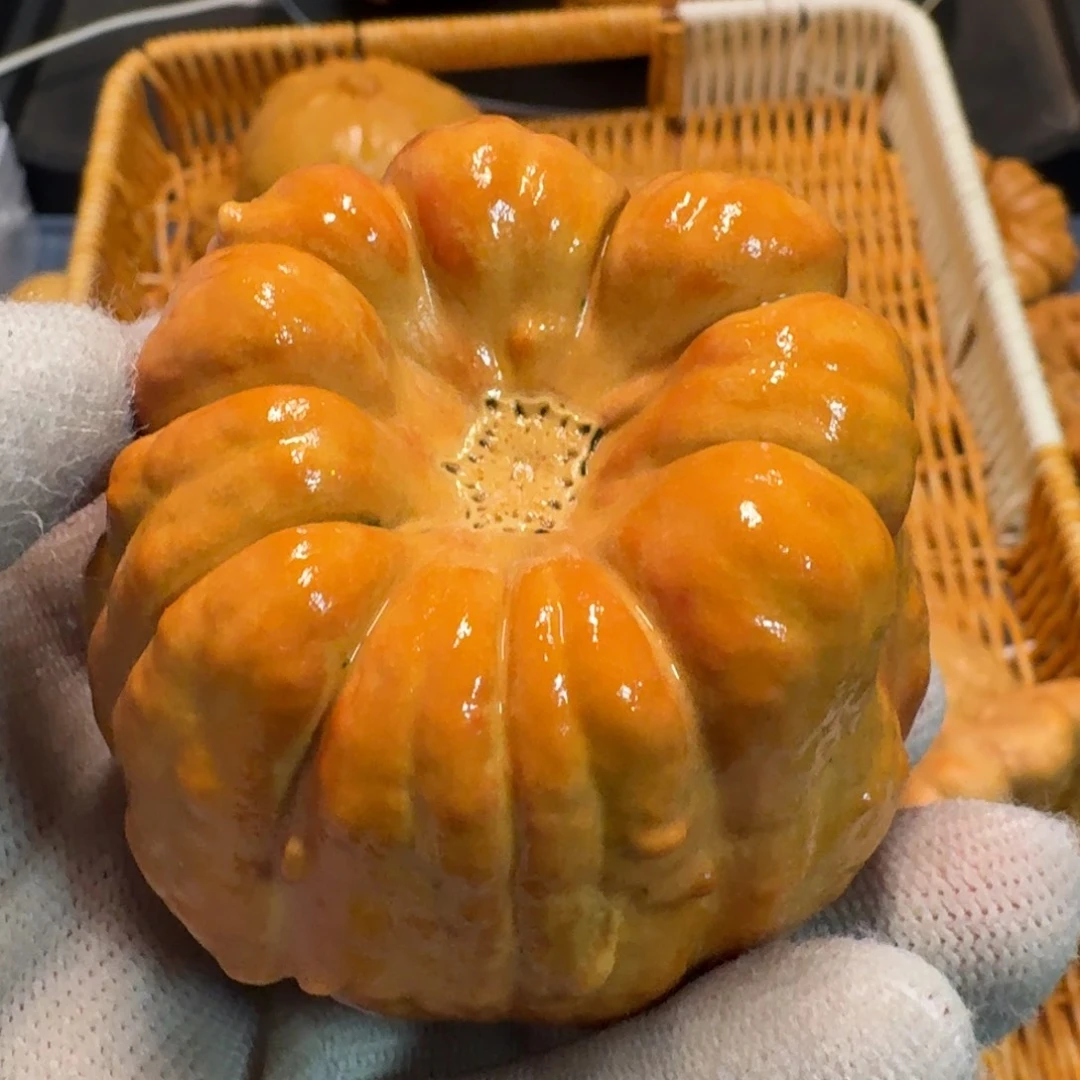 卷***哈墨西哥七彩疙瘩葫芦