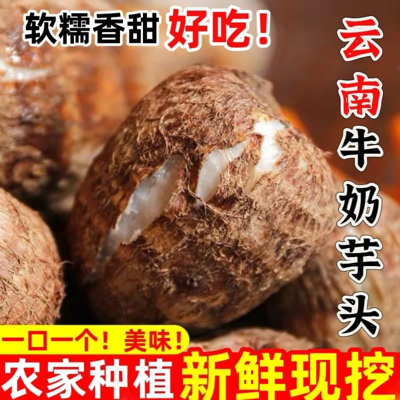 【香糯粉滑】云南牛奶小芋头香芋奶芋头农家自种新鲜粉糯新鲜蔬菜