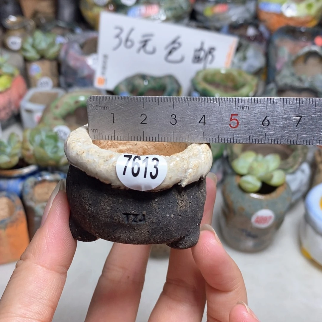 拍3送一个小礼物
