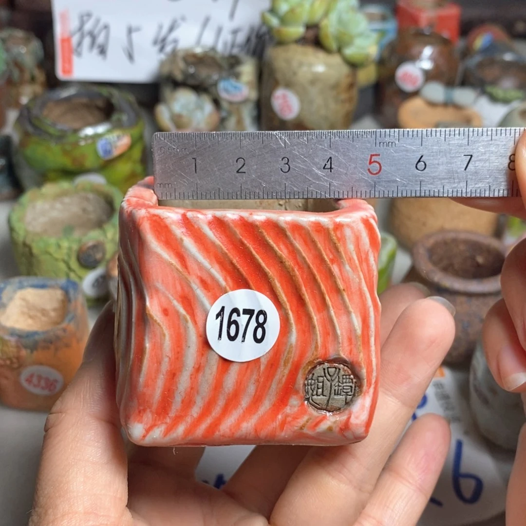 拍5送一个小礼物