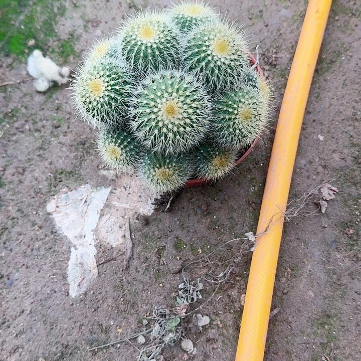 我***～哈哈哈哈哈哈哈哈