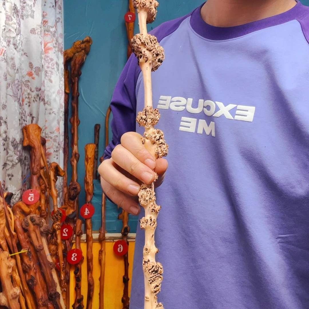 曾***有香榧木就要在这里呆多久呀