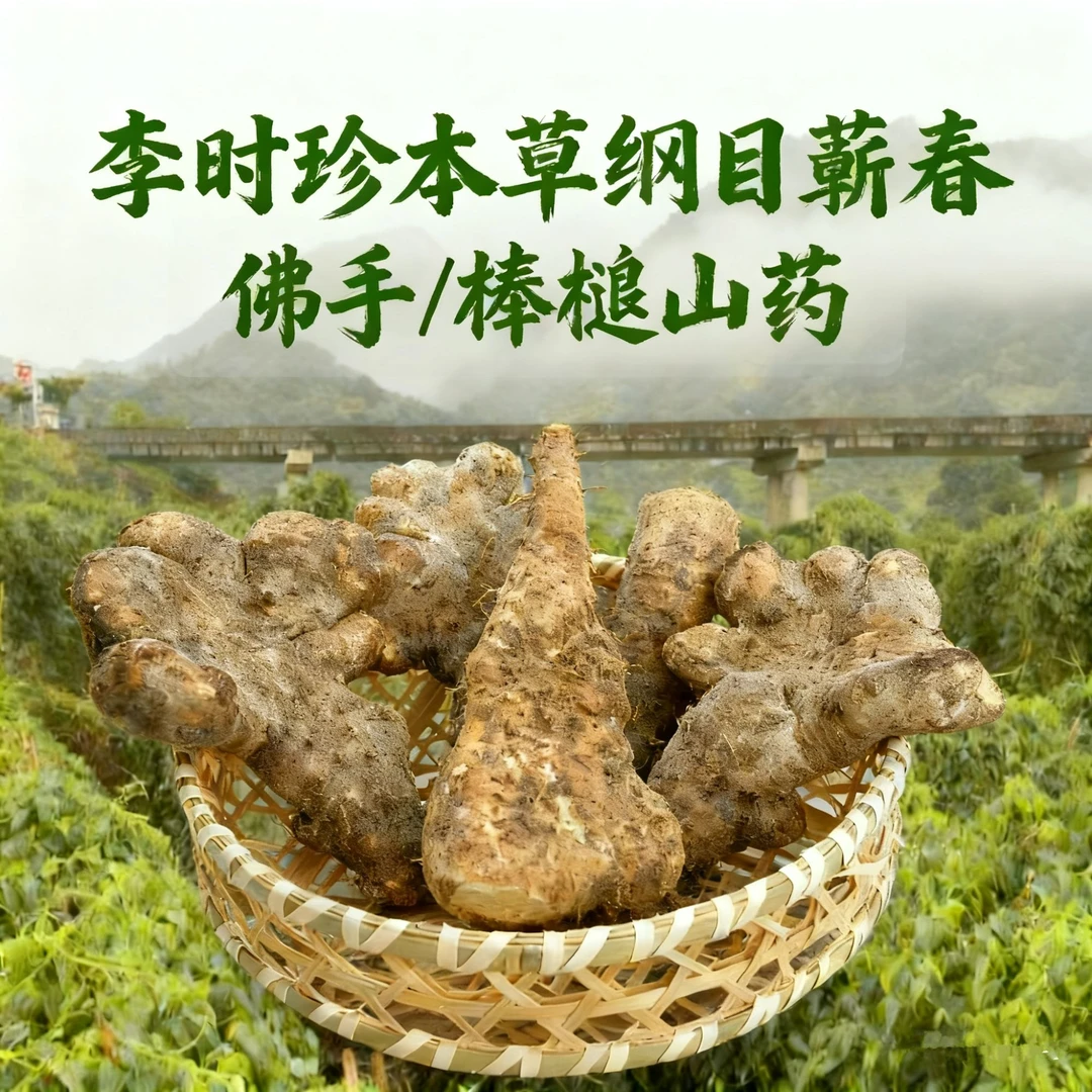黄冈佛手山药蕲春桐梓山药蕲春棒槌粉山药天然种植梯田佛手山药