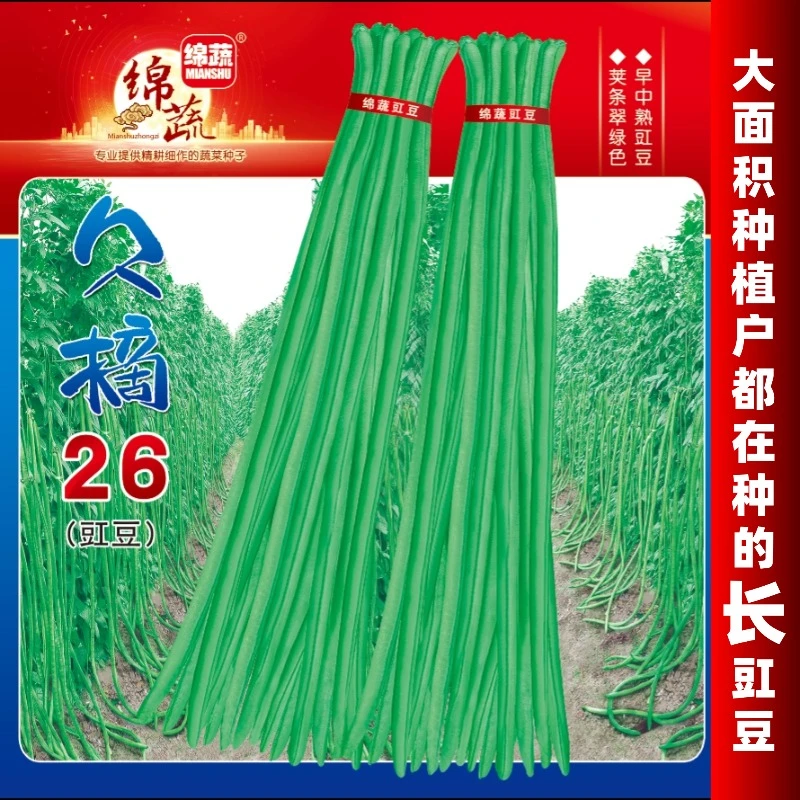 绵蔬【久摘26豇豆久摘翠绿】耐热翠绿色，荚粗长、长豇豆种子适合种植