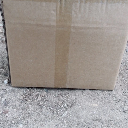 无花朵寄养链接一物一拍必拍