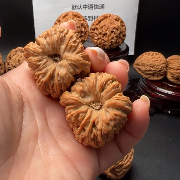 淡*?16号老树果老特点南将