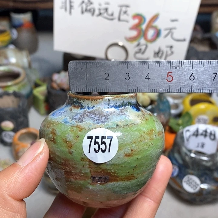 拍5送一个小礼物花盆