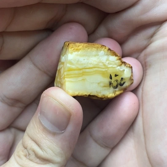 定制琥珀未镶嵌蜜蜡