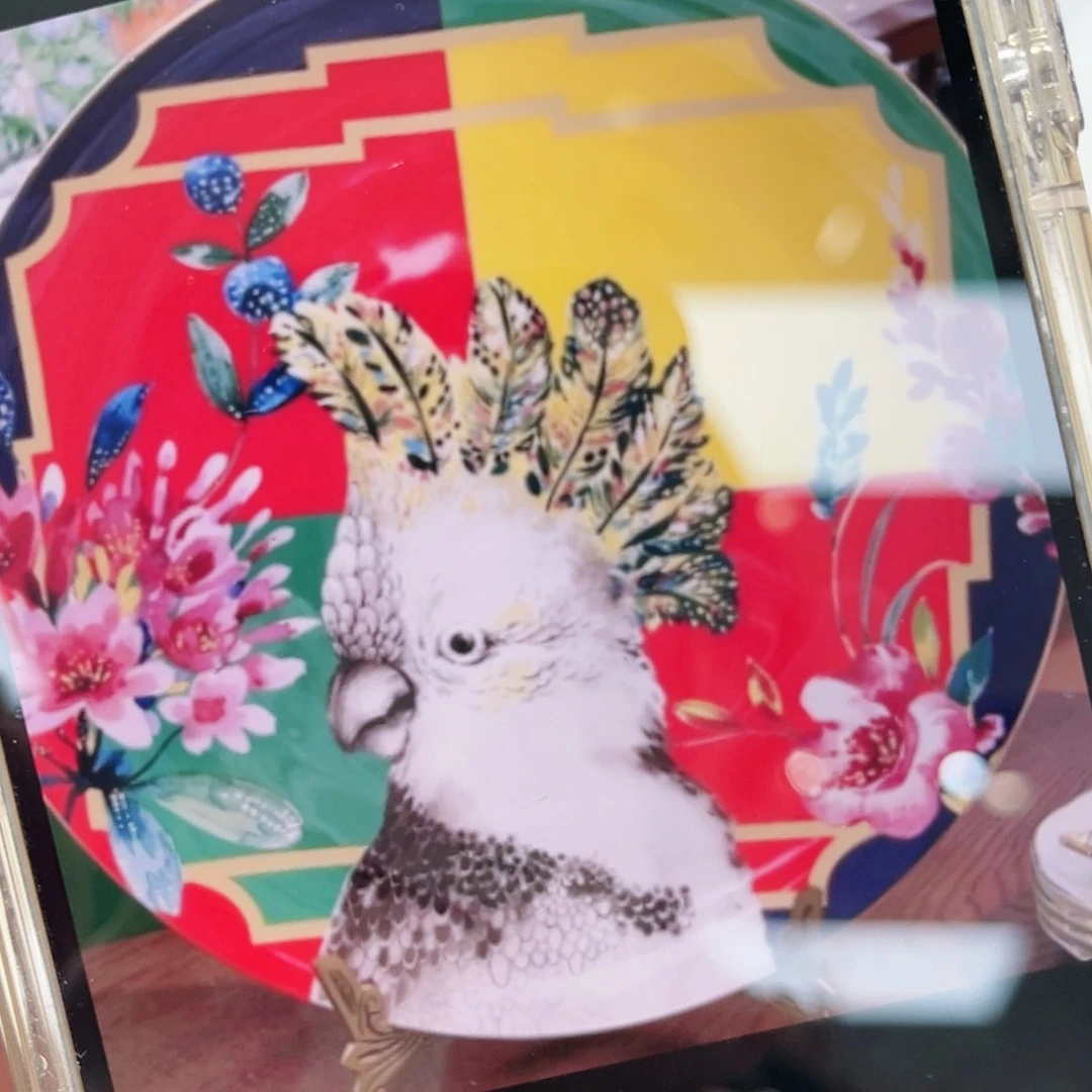 【闪购商品】瓷片33厘米——————————