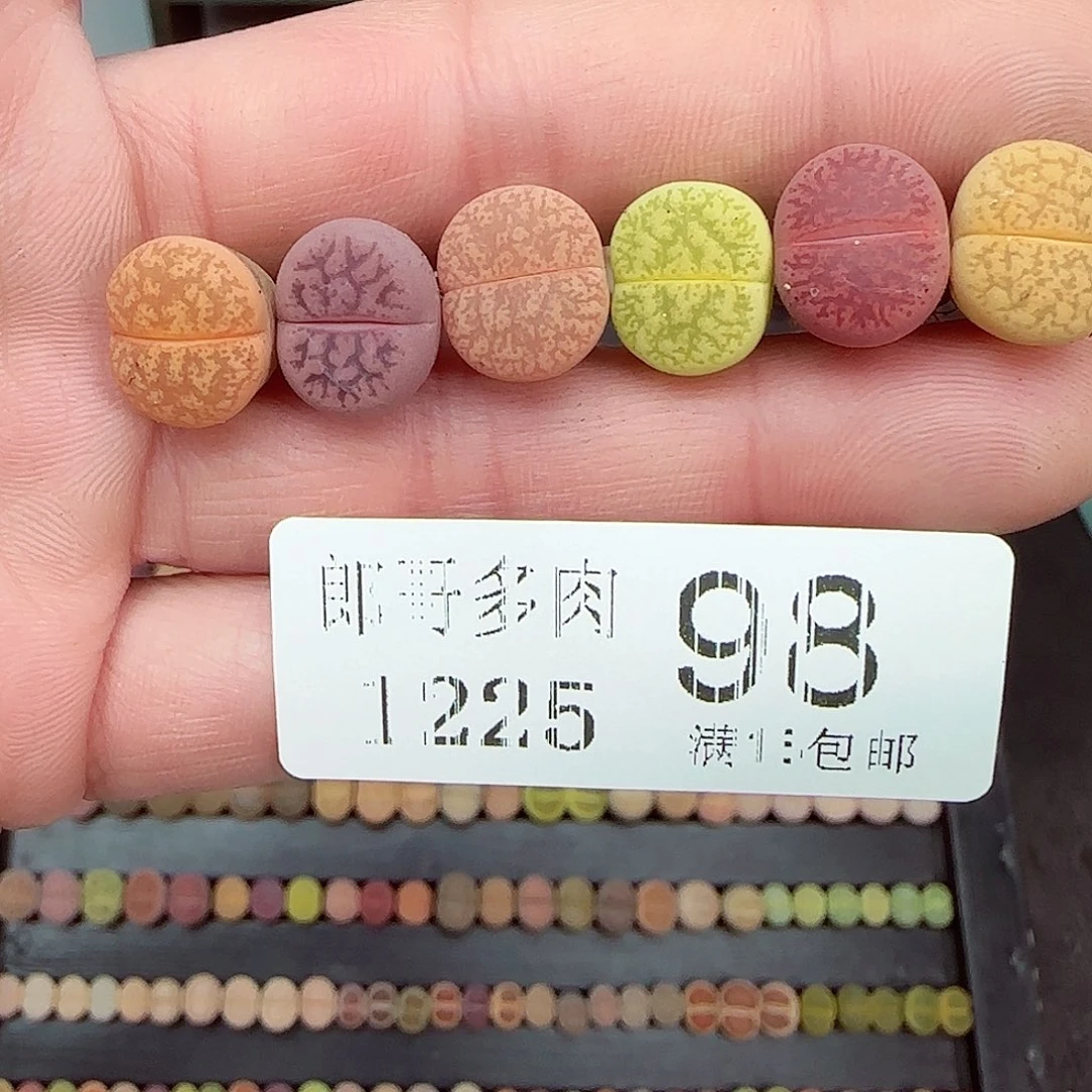 满满18包邮1225-98