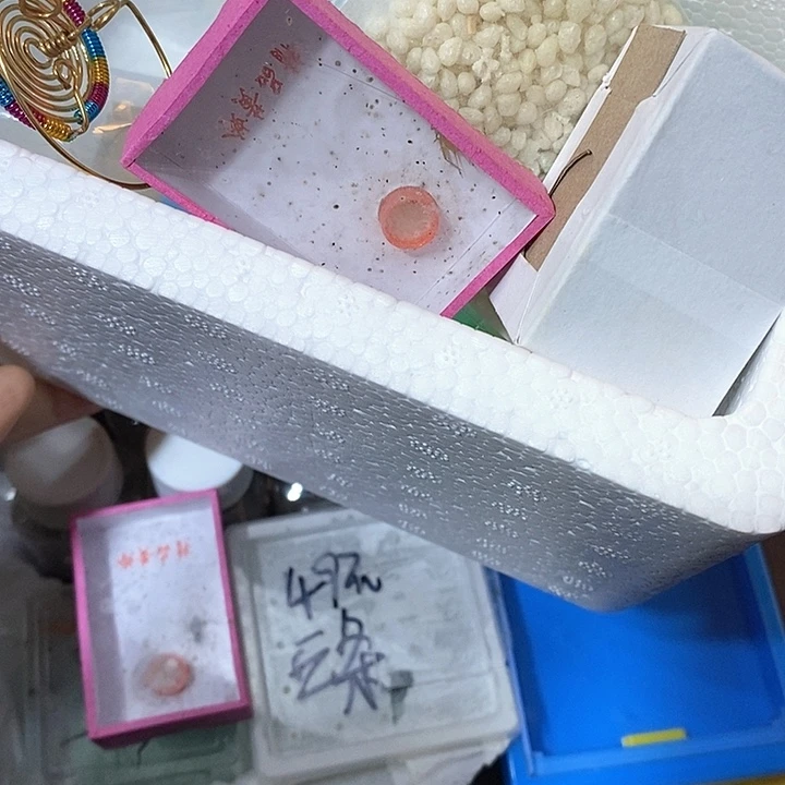 斗金山一套扎嘴饲料补发中黄蛉筒胆