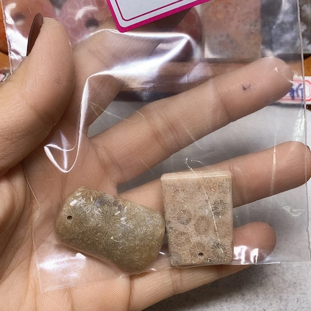 硅化玉颈饰未镶嵌干****）
