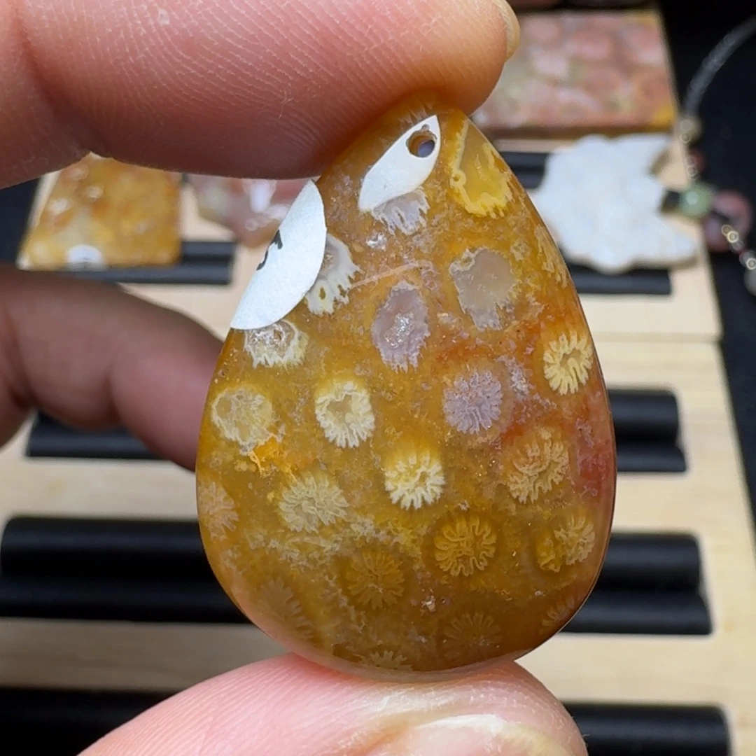 未镶嵌纯天然色有机玉石保真色硅化玉