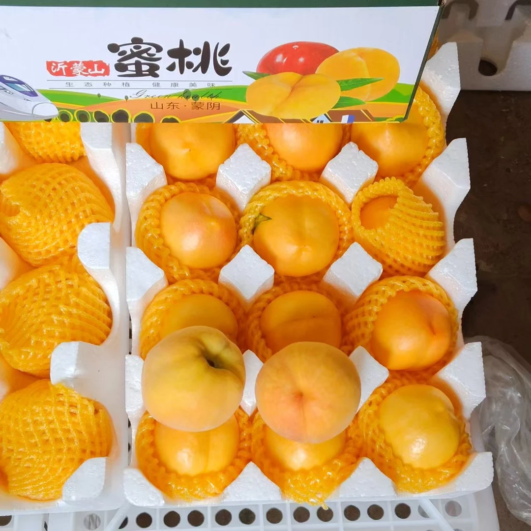 新鲜油桃正宗蒙阴黄桃脆甜多汁时令蟠桃黄油桃水果