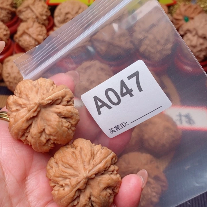 文玩核桃把件霸王龙37尺047号123