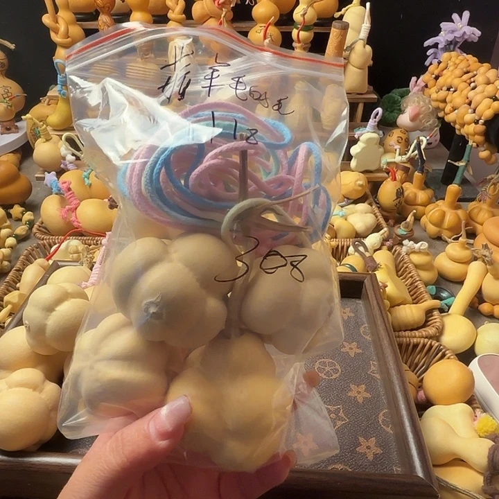 薅***猫太阳花今天安排发货