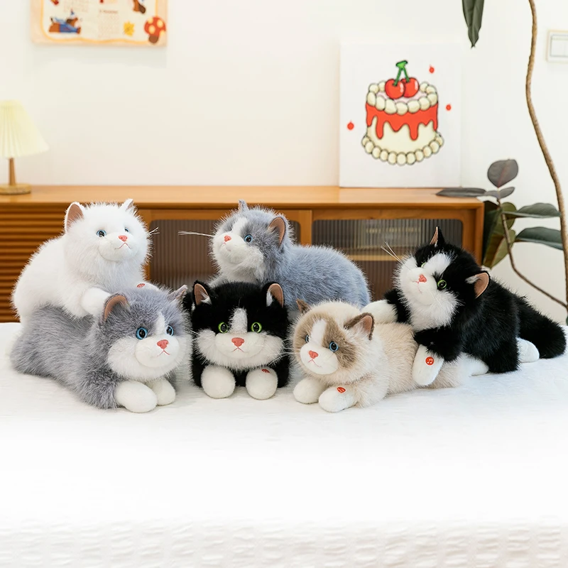 可爱布偶猫咪玩偶会叫的毛绒玩具孩子安抚陪伴布猫咪毕业生日礼物