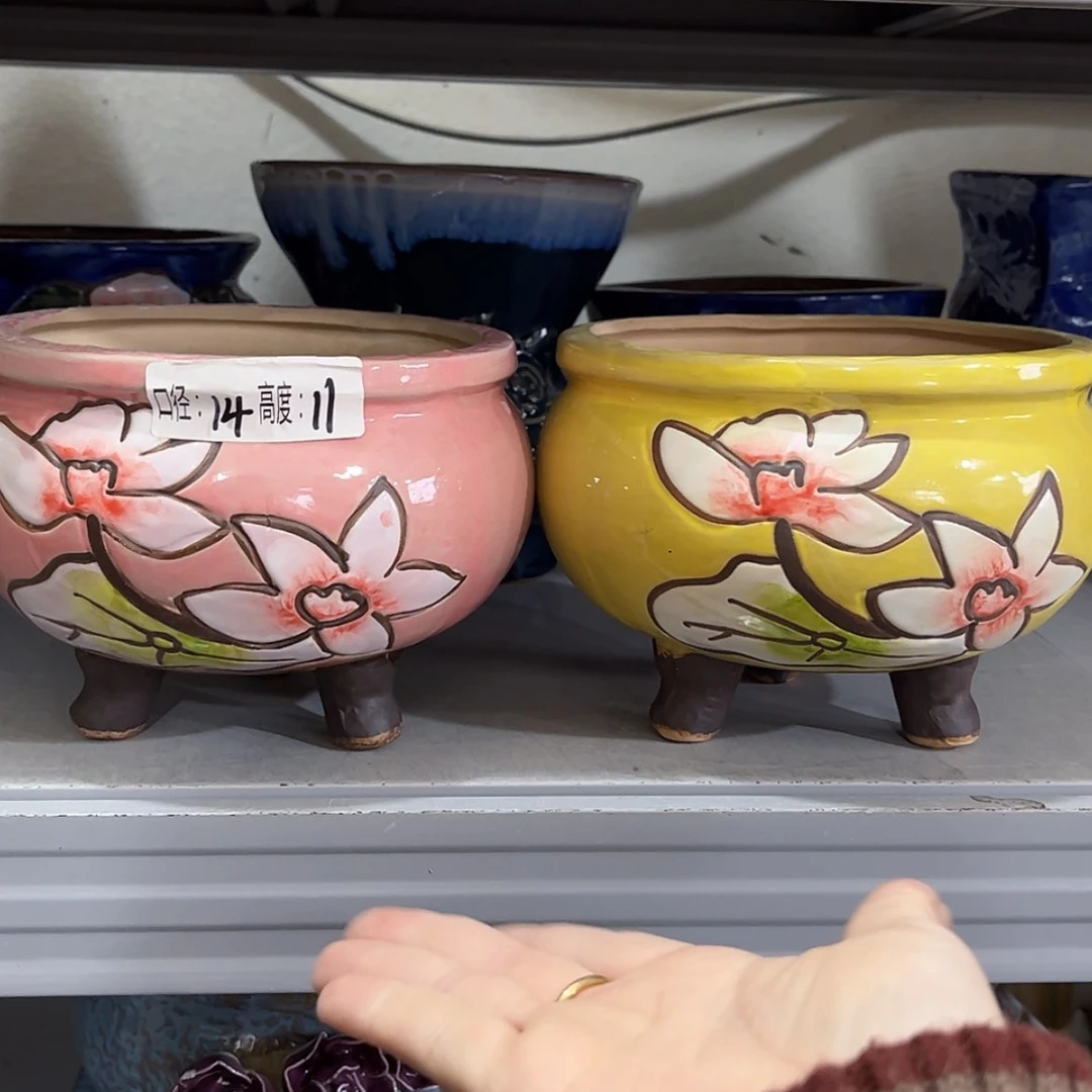 【闪购商品】红陶福利