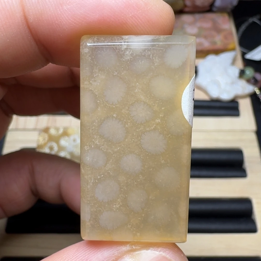 未镶嵌纯天然色有机玉石保真色硅化玉