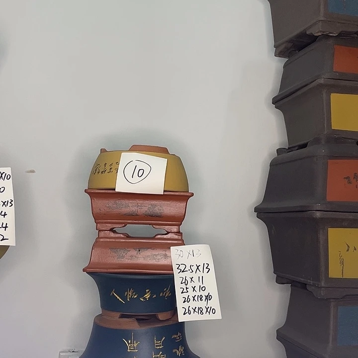 10袭击比肌肉痛我哦