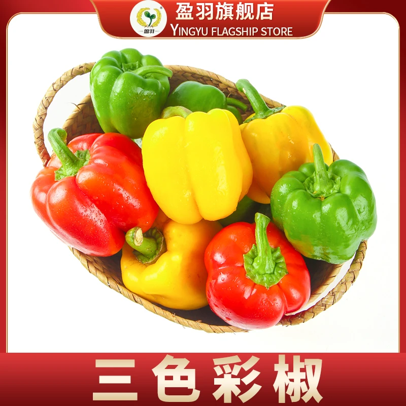 【盈羽】山东三色彩椒4.5斤装10-18个