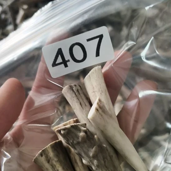 森***鹿角鹿角鹿角鹿角鹿角鹿角