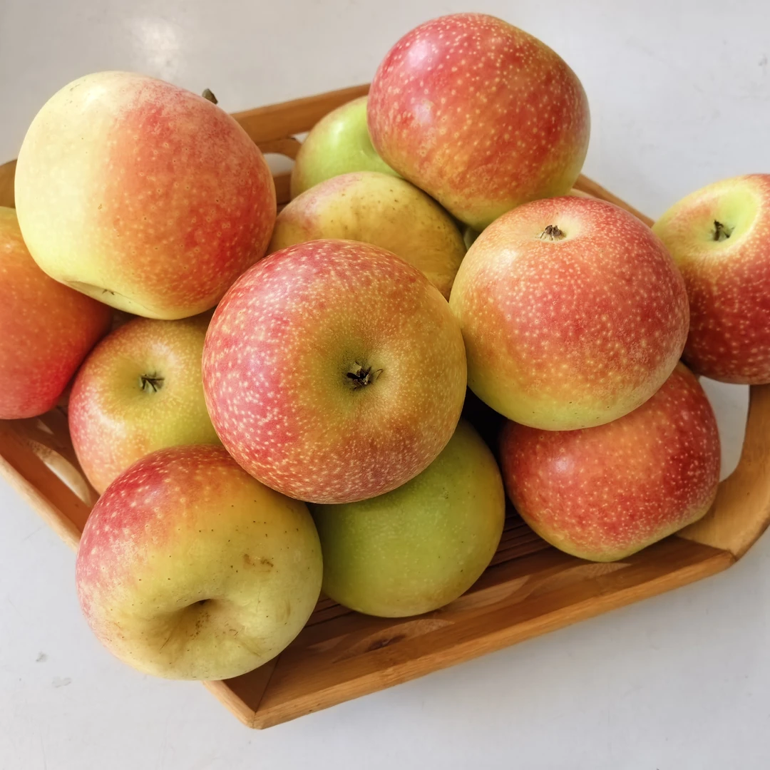 青红苹果酥甜可口新鲜应季水果孕妇解馋佳品美八