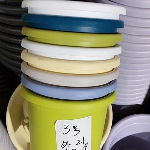 四季3号果绿6个无托