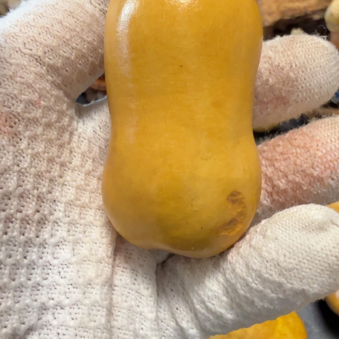 ****飞666666666666666666