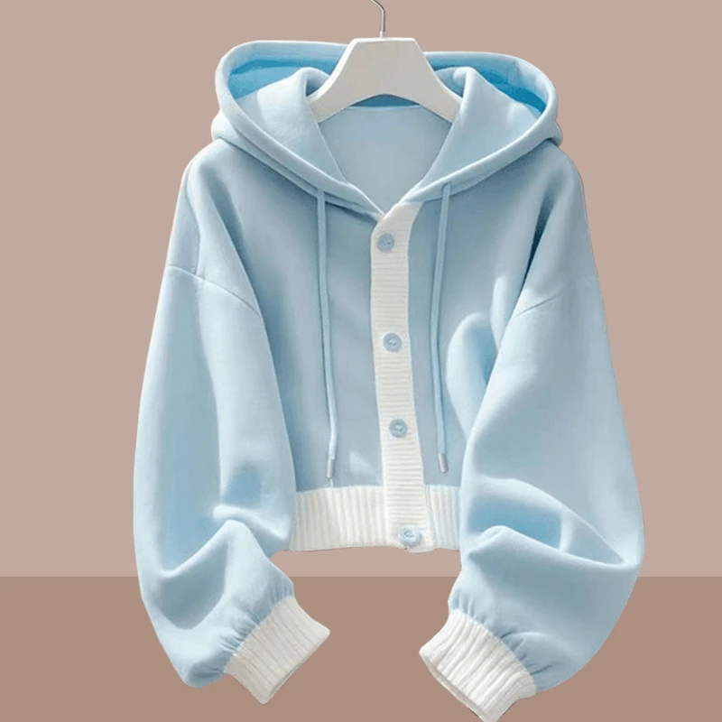 慵懒风蓝色连帽女士卫衣秋冬新款2025新款时尚洋气遮肚子女款上衣