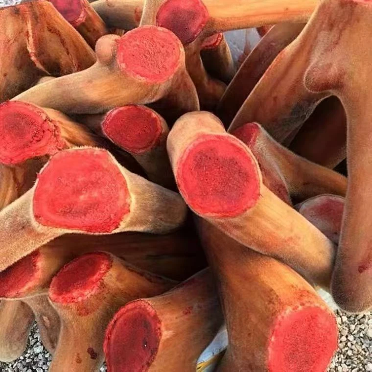 鹿茸补差价补拍链接