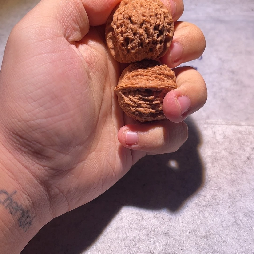 剧场比一次比一个飓风v不及格