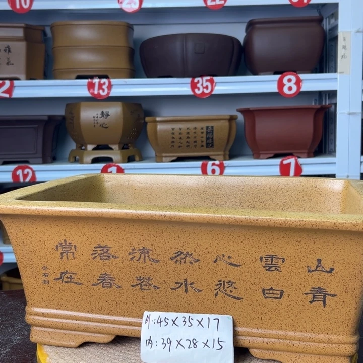 紫砂花盆你在一起