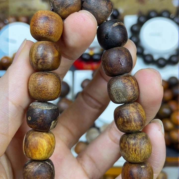 贡木其他谢谢老头们的支持