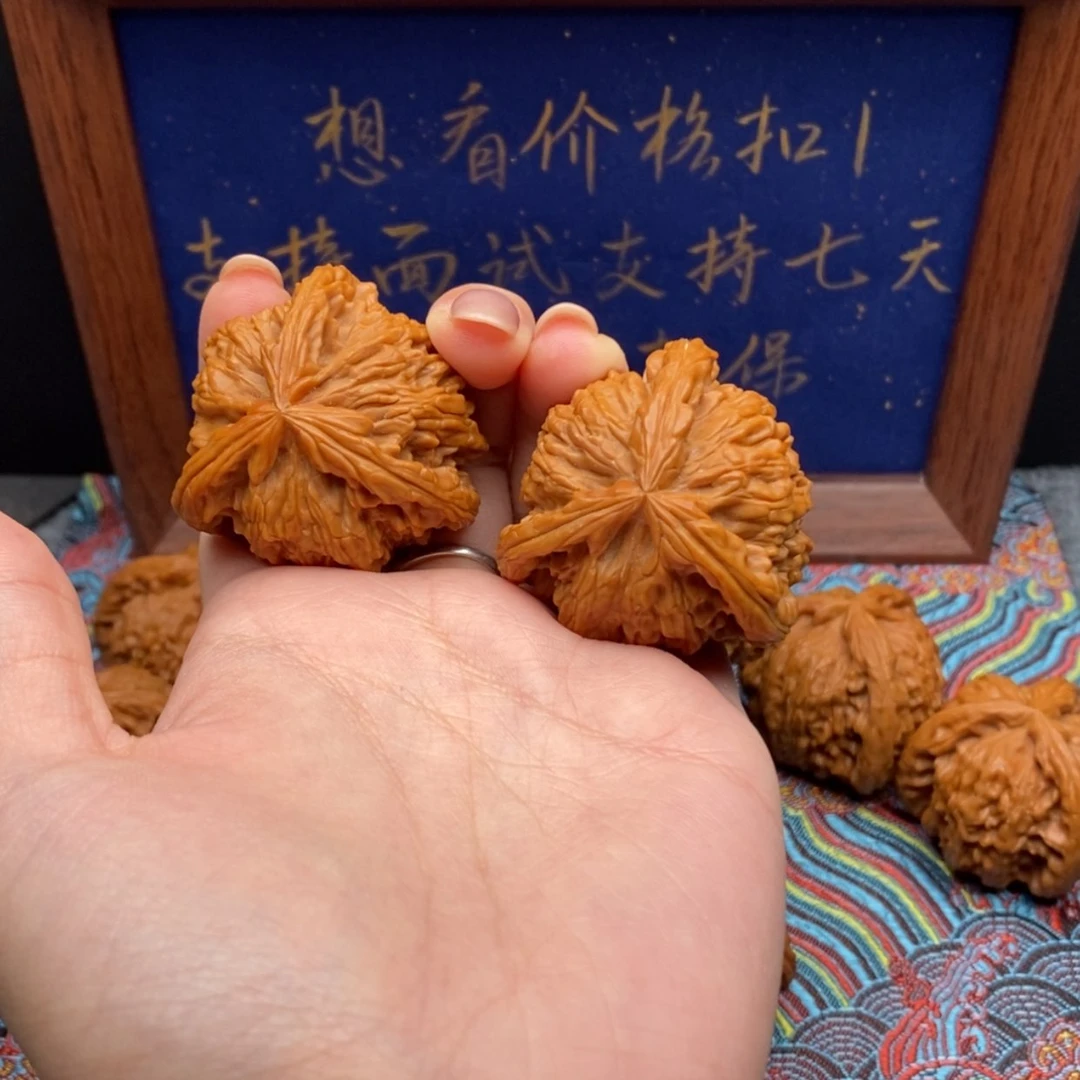 【闪购商品】壮**爹白狮